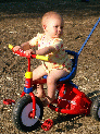 Trike0424.JPG
 (886.2k)